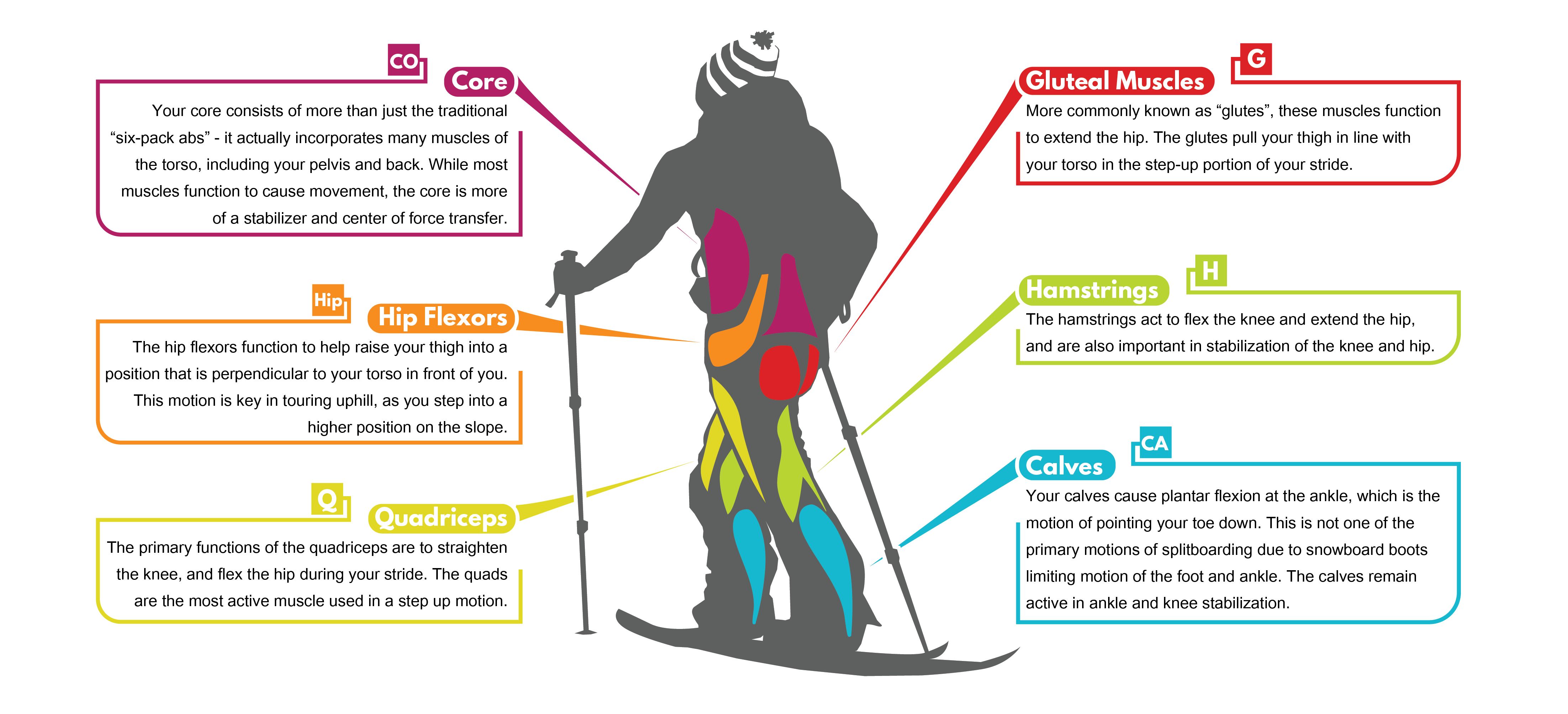 Split Fitness Part 2 Strength Training Spark R&D