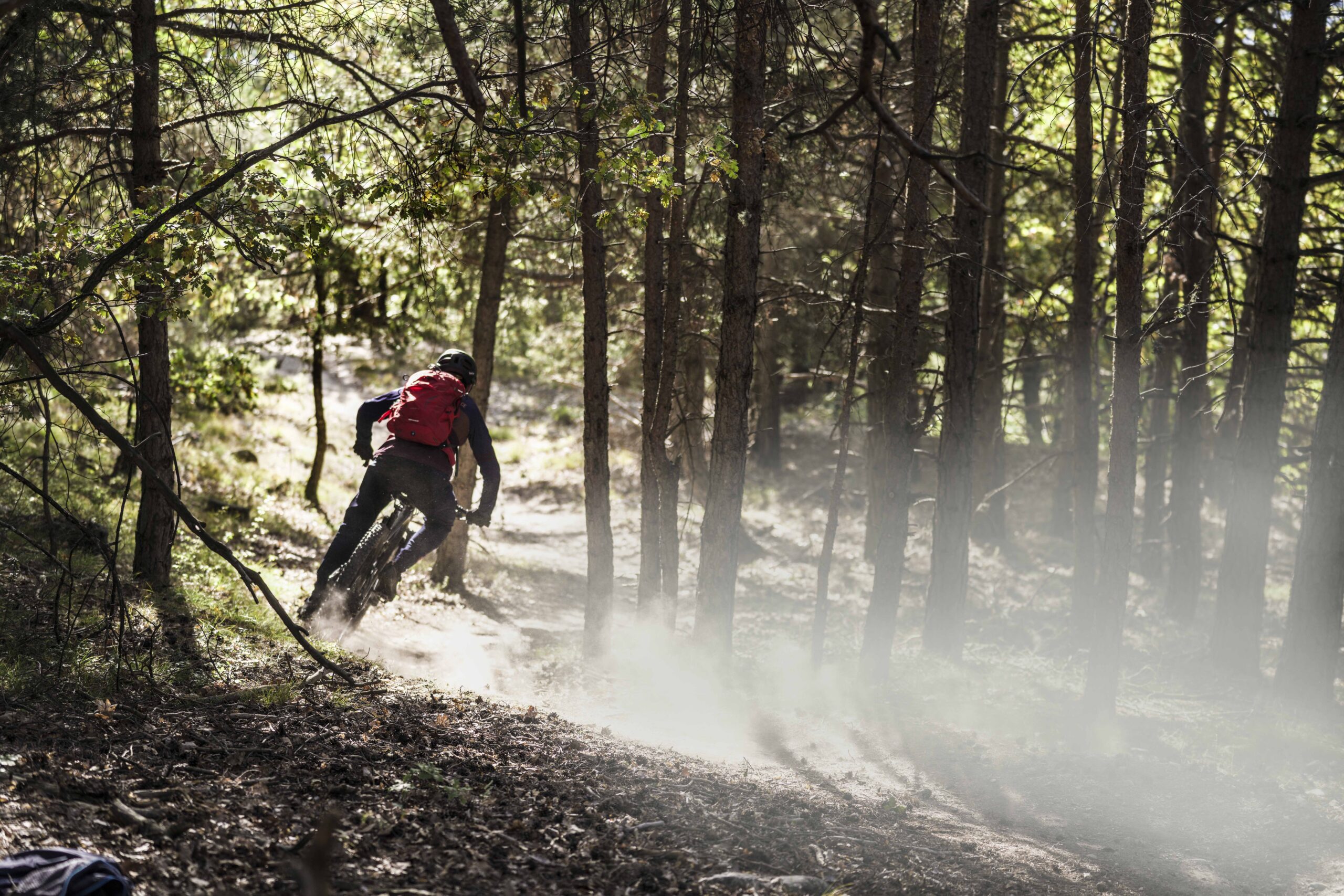 Mountain Biking in the Summer