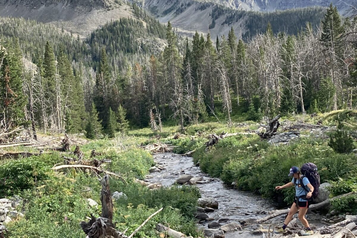 Hiking in the Summer