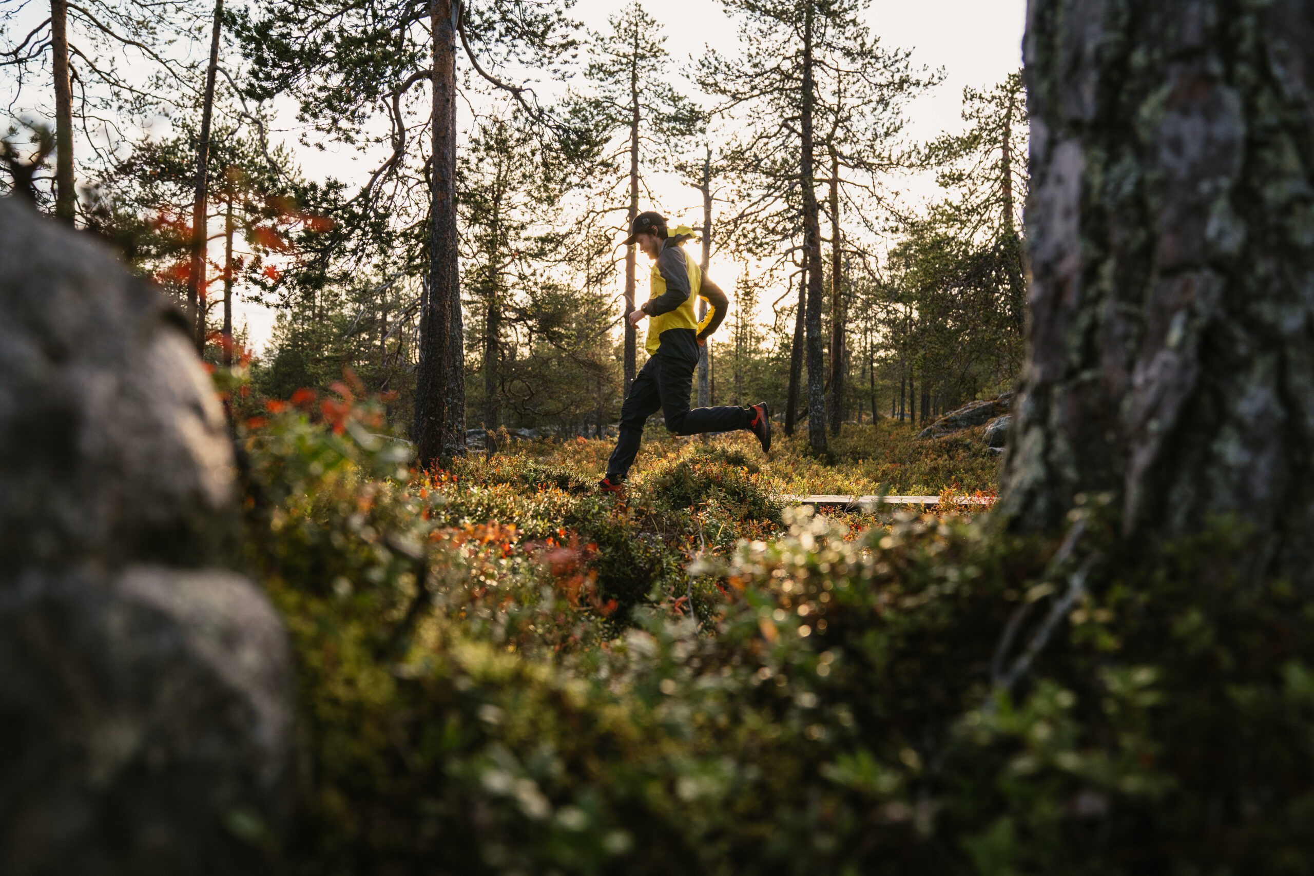 Running in the Summer